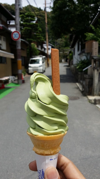 Illustration for article titled japanese dump
